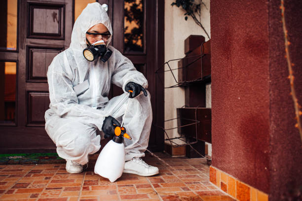 Reliable Bed Bug Control contractor in Holyoke, MA by Nex Pest Control